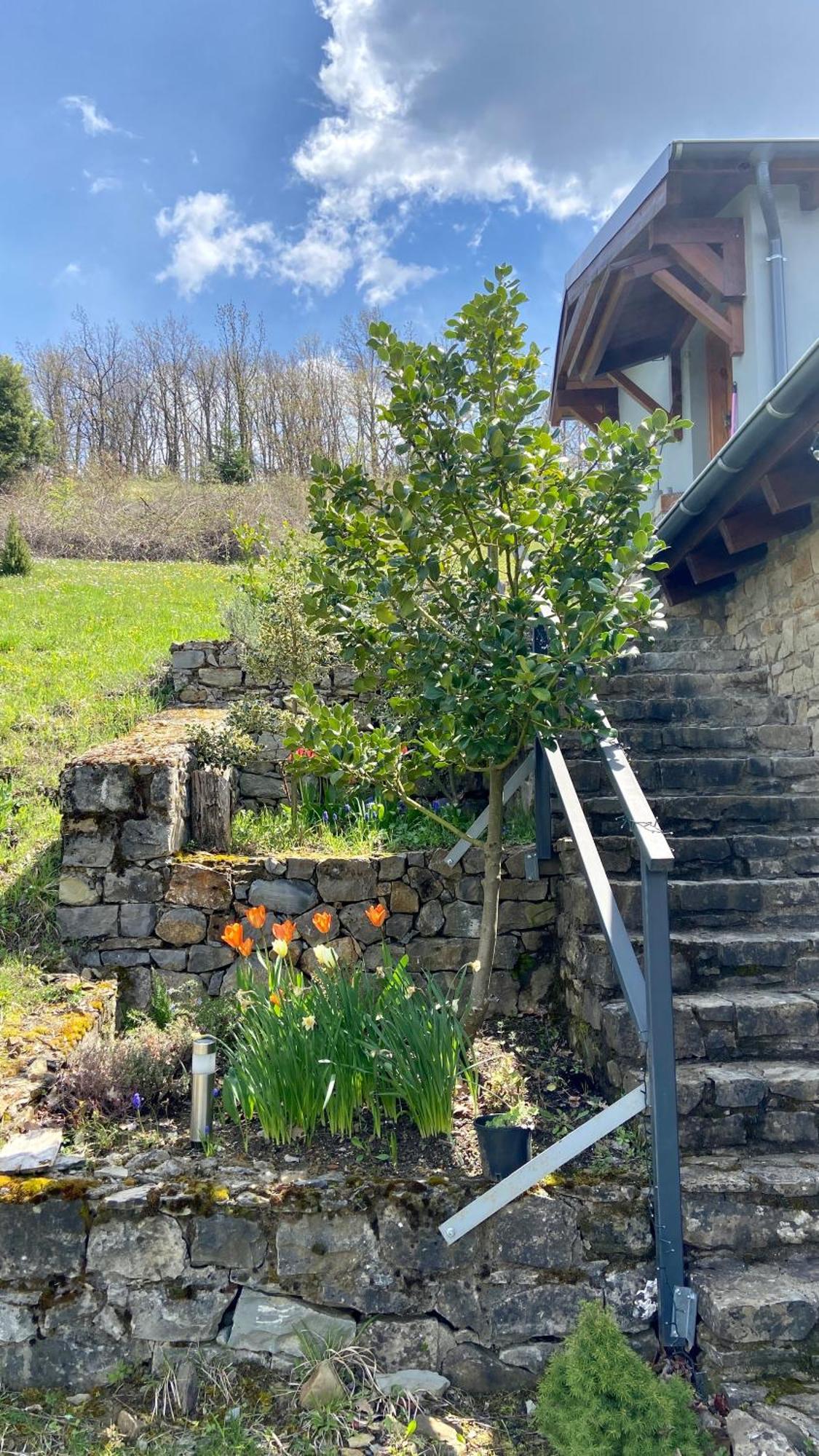 Little Garden Cabin Perivolaki エクステリア 写真